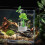 Experienced Users Plant Holder Aquarium 4 Pcs 3