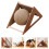 Griffoir Chat Portable Stable Couleurs Variées Pour 3