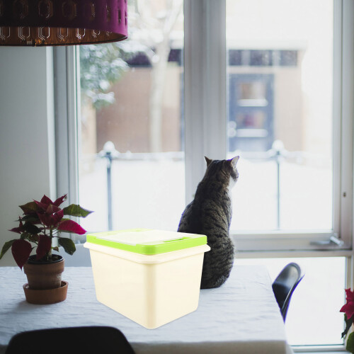 Cat Biscuits Container 1pcs 13x10in 2
