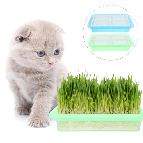 2St Kattenkruid Planter Set Plastic Indoor Kattengras Hydroponisch 2