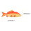 2Pcs PU Simulated Fish Model Kids Educational Toy Home Desktop Decor 2