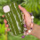 2Pcs Multi-Color Mobile Phone Chains Crystal Stone Decorative Straps 10