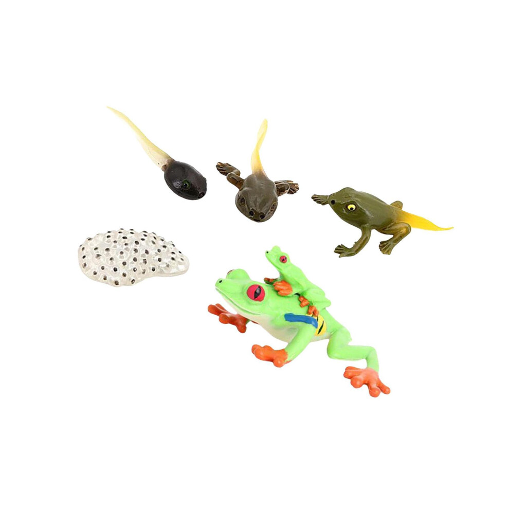 (Red Eye Tree Frog) Simulation Life Cycle Figurines Figures for Party Favors Kids-image-OPC-PKRB8XK-NEW