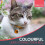 (Default) Reflective Cat Collar with Safety Release | ID Tag Bell | Quick Adjustable 6 Pack 4