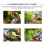 gartenhacke manganstahl zum lockern 10