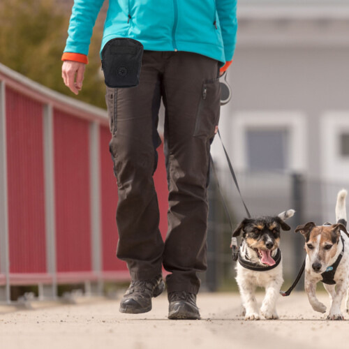 hundefutter-trainingsbeutel mit hoher kapazität für draußen 2