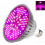 Led Grow Light Bulbs - Full Spectrum E27 100w Professional Grow Lamp For Seedling Blooming 1
