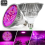Led Grow Light Bulbs - Full Spectrum E27 100w Professional Grow Lamp For Seedling Blooming 2