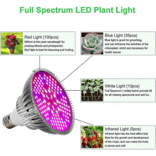 Led Grow Light Bulbs - Full Spectrum E27 100w Professional Grow Lamp For Seedling Blooming 2