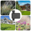 Watering Timer Support Bluetooth Function App Remote Control Valve Sprinkler Flower Sprinkler Timed 3