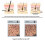 Reduce Hair Fall Breaks Strong Shower Ginger Shampoo Clean and Refreshing Ginger Shampoo 4