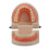 Childrens Teeth Model For Education Standard Brushing Practice 6
