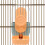 Distributeur Automatique Orange En Polypropylène Pour Animaux 8