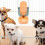 Distributeur Automatique Orange En Polypropylène Pour Animaux 10