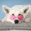 winter warm pet mat two-sided cat cushion for sleeping and cage use 9