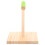 Raindrops Play Stand For Parrots Parrot Perch Rough Wood 1set 10