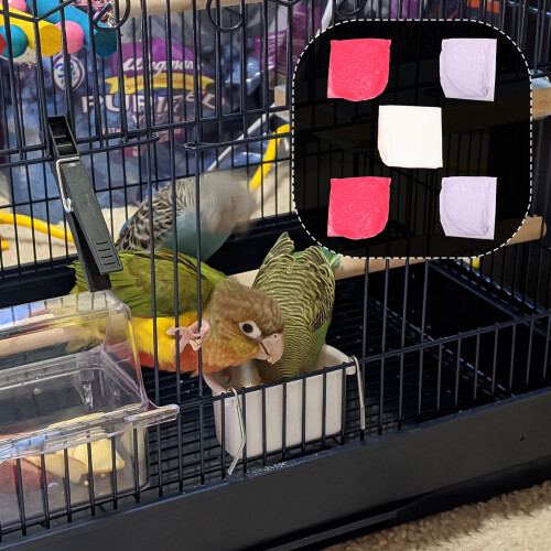 5Pièces Élastique Cage Oiseaux Couleur Mixte 2