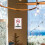 no smoking sign aluminum warning for restaurant 11