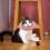 1Pièces Collier Post-Opératoire Chat En Tissu Imperméable Rose 10