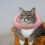 1Pièces Collier Post-Opératoire Chat En Tissu Imperméable Rose 6