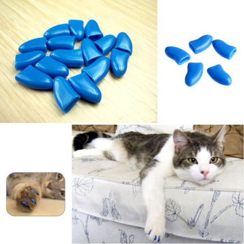 20 pcs blue pet cat paw claw size m 1