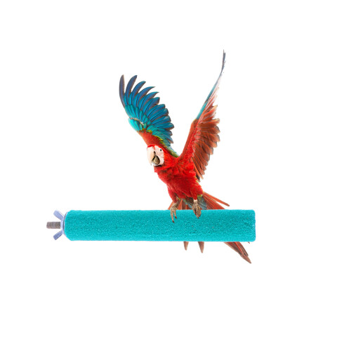 bird perch stand with claw and for small birds 1