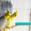 bird perch stand with claw and for small birds 4