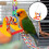 Creative Bird Swing Toy Parrot Chewing Hanging Cage Accessory 9