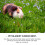 Chenille Violet Pour Animaux Portable 11