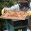 2pcs numbered beehive labels for beekeeping diy tags 4