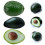 3Pcs Artificial Avocados Models Simulation Fruit Toy for Kids 11
