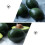 3Pcs Artificial Avocados Models Simulation Fruit Toy for Kids 8