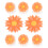 daisy silikon trenner pediküre 4 7