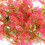 20pcs plastic aquarium plants for fish tank decoration 4