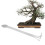 gartengrabegabel für bonsai pflanzbereit 5