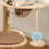 1Jouet En Sisal Pour Chat Mâcher 4
