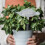 Automatic Watering Device Self Plant Devices Planter Stakes 9