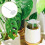 Automatic Watering Device Self Plant Devices Planter Stakes 4