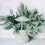 Automatic Watering Device Self Plant Devices Planter Stakes 11