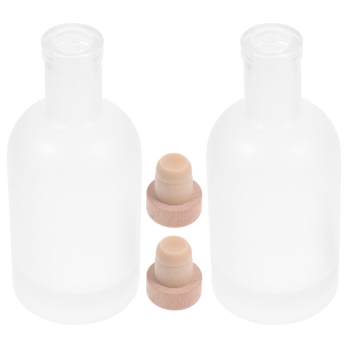 2pcs Bottles Empty Bottles Fruit Bottles Diy Ice Bottles Drink Bottles 2