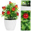 2Stk Künstlicher Obstbaum, Topfobstbaum, Bonsai-Obstbaum, Deko 2