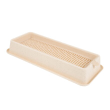Grass Hydroponic Planter Box Beige Indoor Catnip Planting Area For Home Use Easy To Manage
