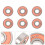 8St Carbon Skateboard Longboard & Scooter 9