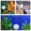 Fish Tank Floating Ornament Aquarium Betta Training Mirror 8