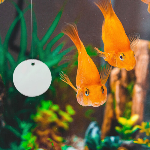Fish Tank Floating Ornament Aquarium Betta Training Mirror 2