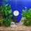 Fish Tank Floating Ornament Aquarium Betta Training Mirror 4