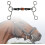 Horse Bit Snaffle Bit H Shape Ring 135mm Size For Riding Horses 2