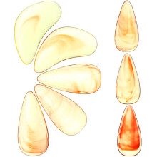 8Pièces Caches Ongles Guzheng Protecteurs Doigts Plastique Orange