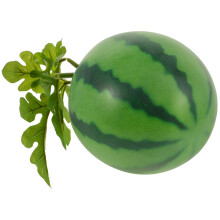 realistic plastic watermelon model for photography and display decor