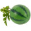 realistic plastic watermelon model for photography and display decor 1
